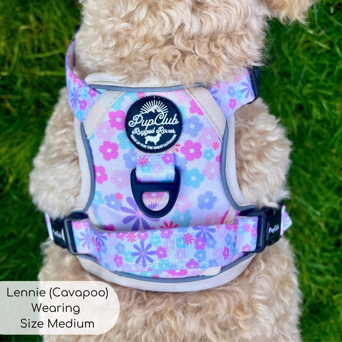 Rugged Rover™ Harness - Pretty Petals