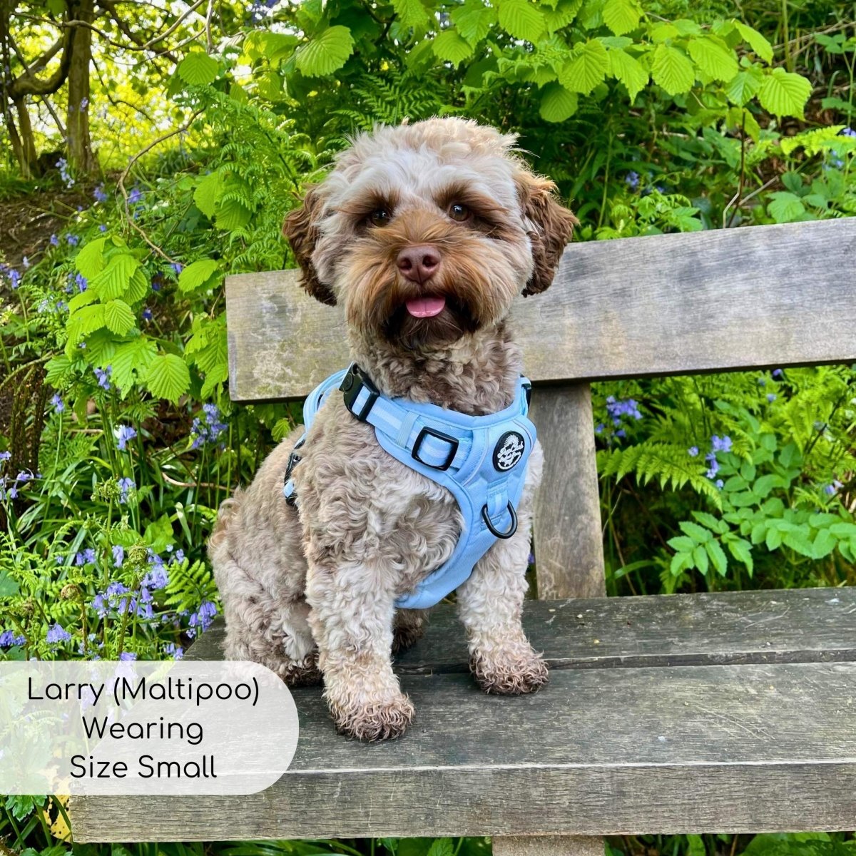 Rugged Rover™ Harness - Pastel Blue | Shop Brit | UK Pet Shop | Rugged Rover Dog Harness