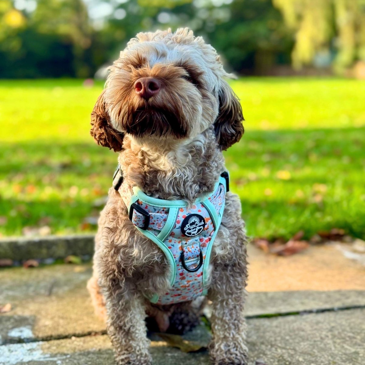 Rugged Rover™ Harness - Woodland Friends