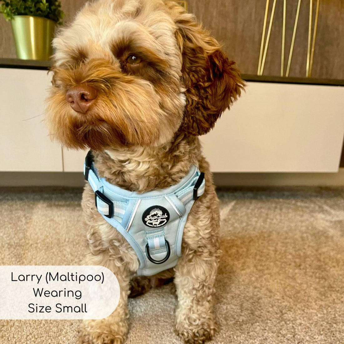 Rugged Rover™ Harness - Pastel Blue | Shop Brit | UK Pet Shop | Rugged Rover Dog Harness