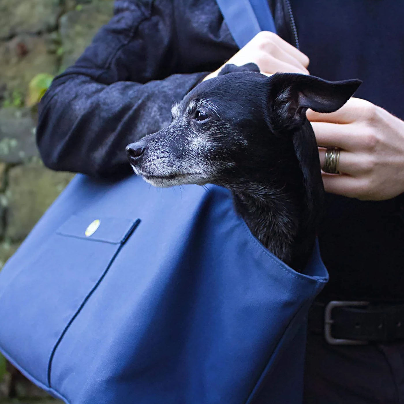 Soho Poms Navy Waxed Cotton Rainy Poms Dog Carrier | Shop Brit | UK Pet Shop | Dog Carriers